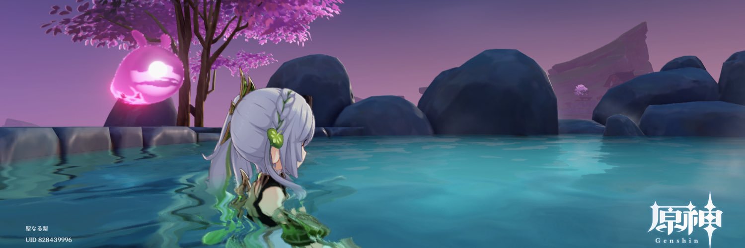 seinarunashi's profile banner image
