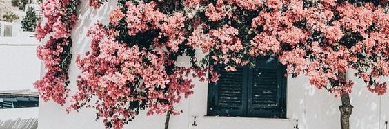 MentariWePe's profile banner image