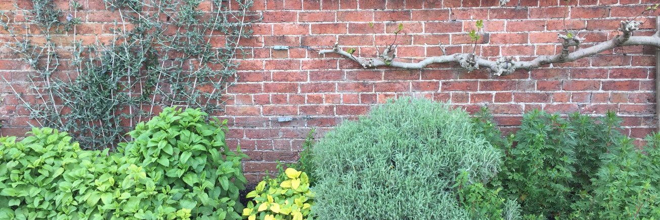 e_gardener's profile banner image