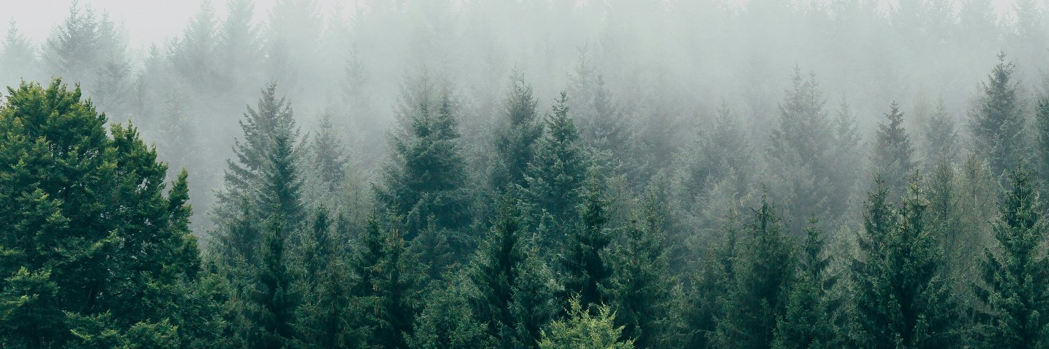 ericwaaaang's profile banner image