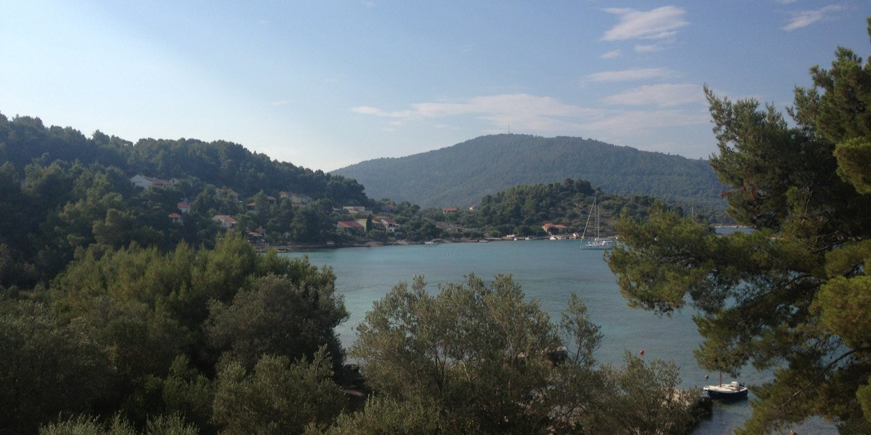 Fredrik Debong banner