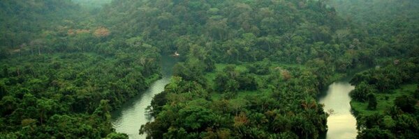 CopalTreeLodge Profile Banner