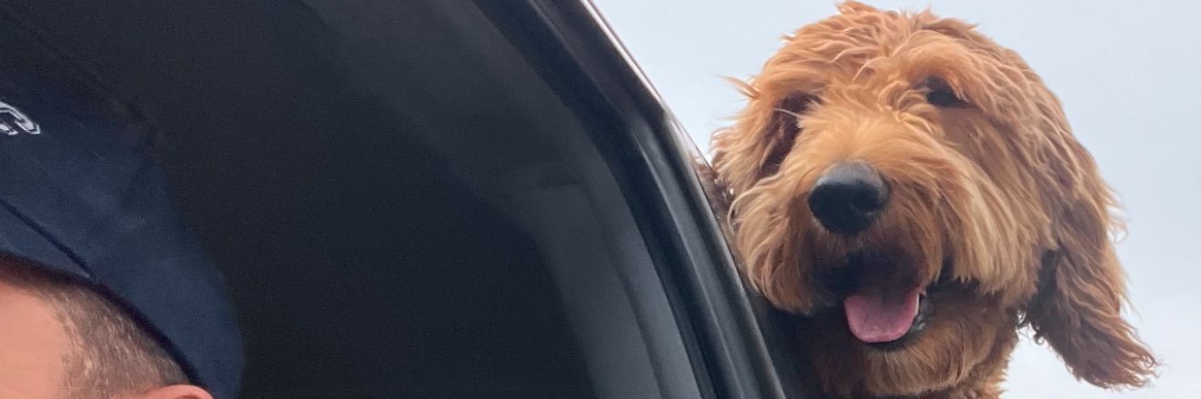 Dylan Shields banner