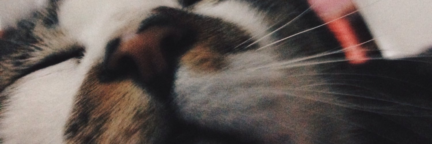 victxrya's profile banner image
