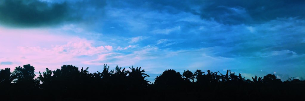 PapaPmooo's profile banner image