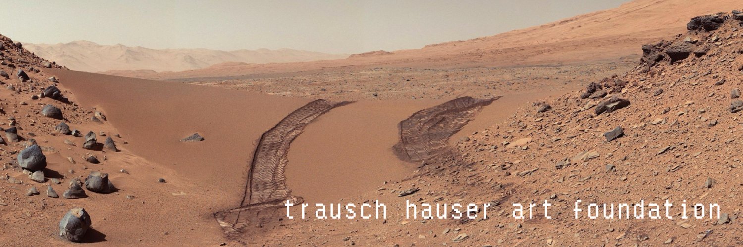 Trausch Hauser Art Foundation banner