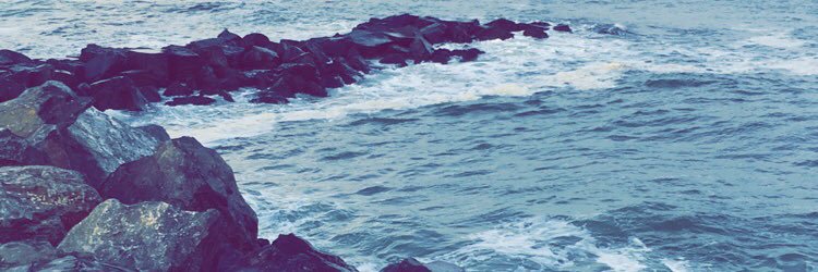 katelyninparisx's profile banner image