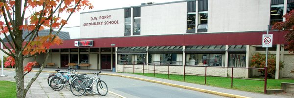 DWPoppy Profile Banner