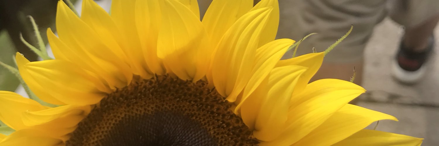 EngellMarie's profile banner image