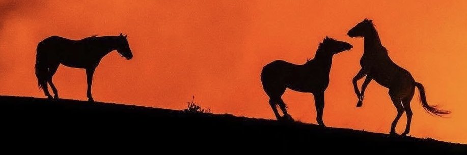 Charlie Foxtrot banner