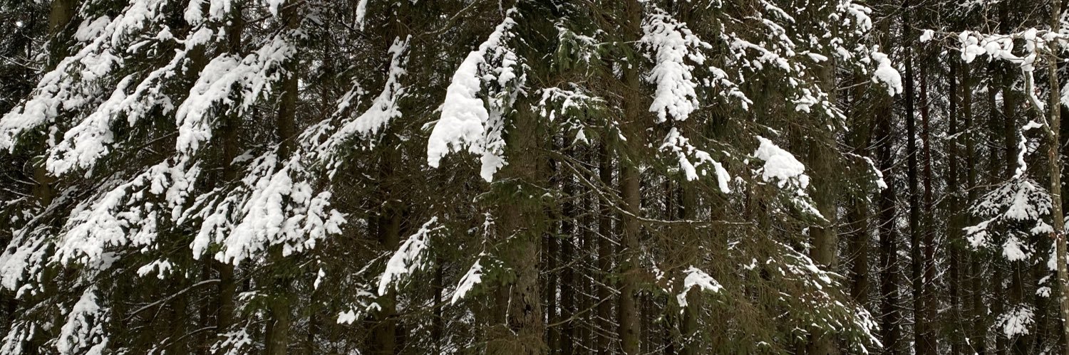 Gunilla Grahn-H banner