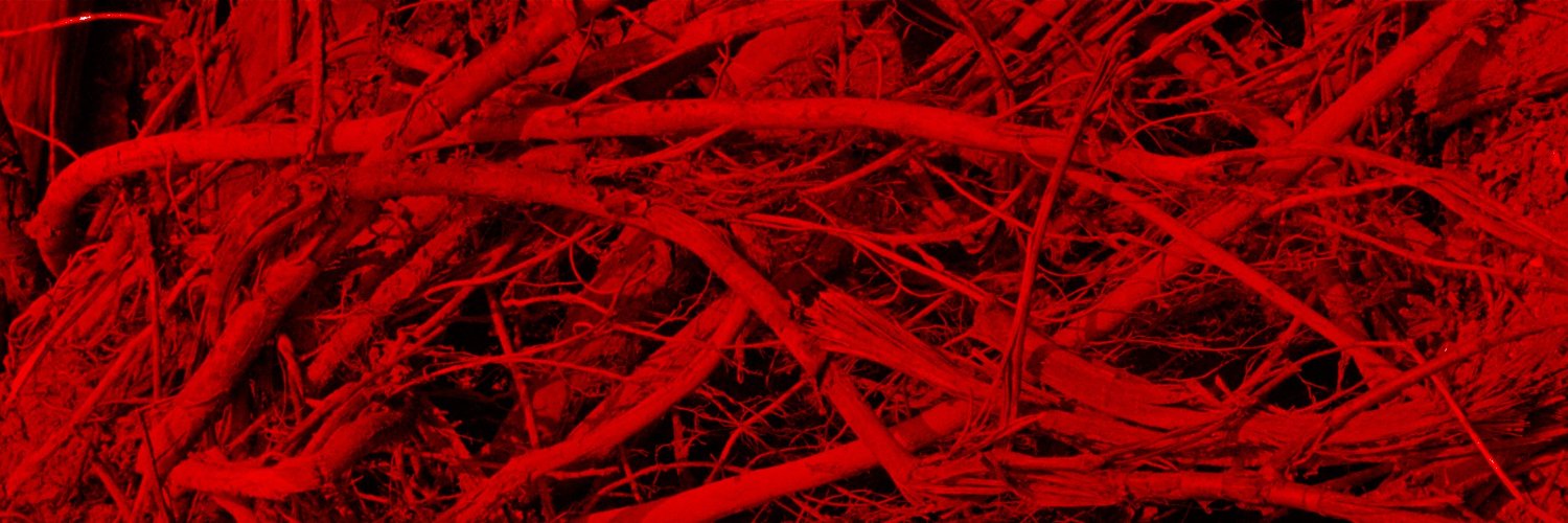 bezukladnikov's profile banner image