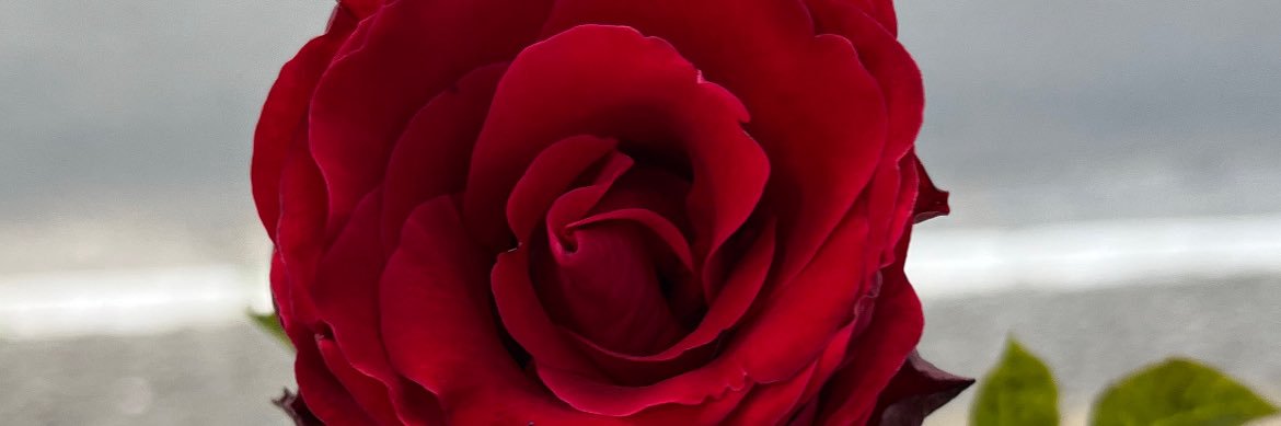 b3aleal's profile banner image