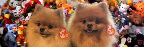 Sam_Gibs's profile banner image