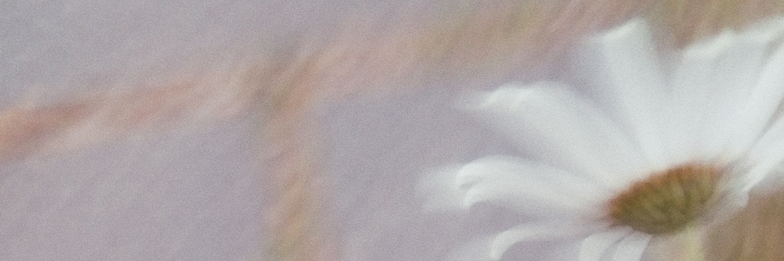 janiramd's profile banner image
