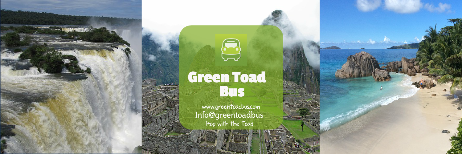Green Toad Bus (@GreenToadBus) / Posts / X