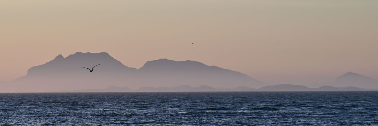 MereteNesset's profile banner image