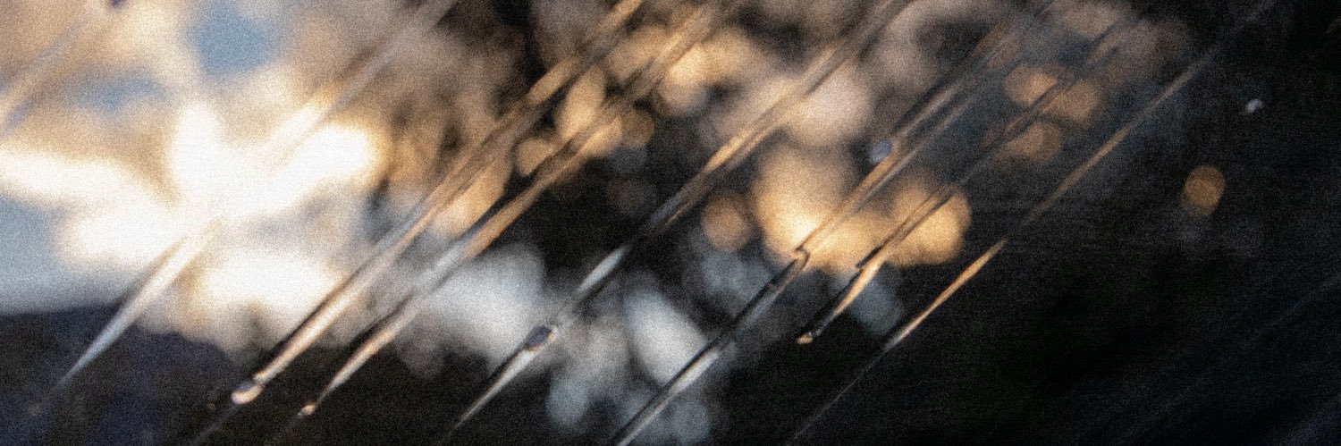 taniatodd_v's profile banner image