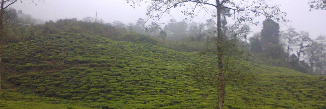 SameerKumarBhoi's profile banner image