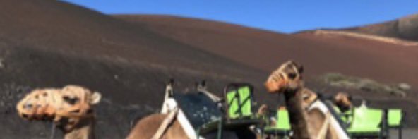 lucii239's profile banner image