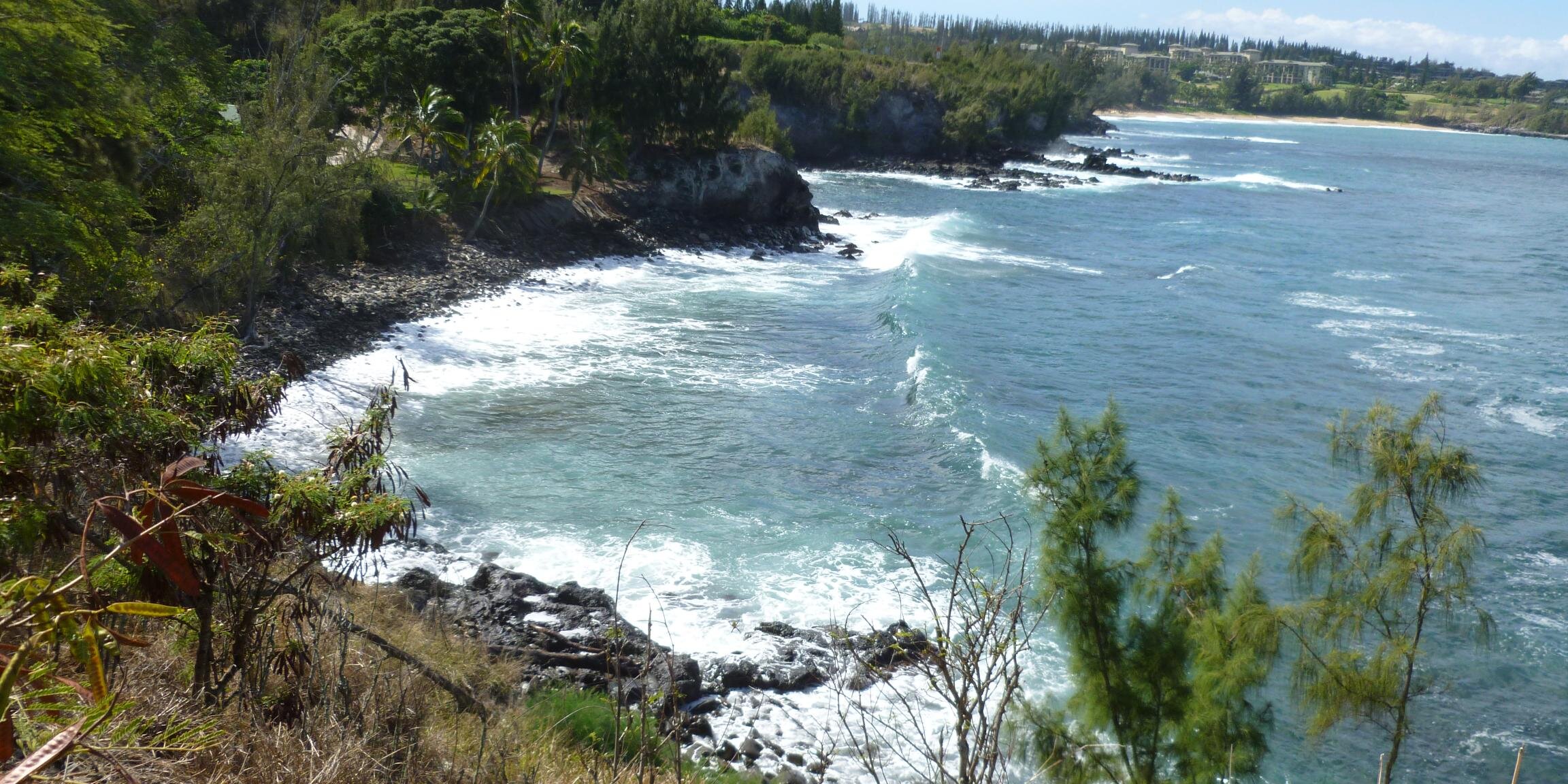 Julienne Verdi banner