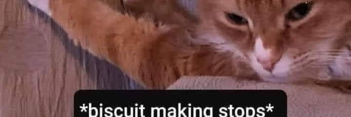 Wispeon.bsky.social 🦋 (ウィスプ) banner