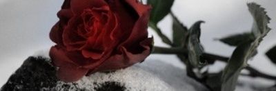 혜솔 레스토랑 banner