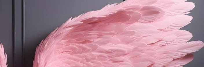 nikkiboler_'s profile banner image