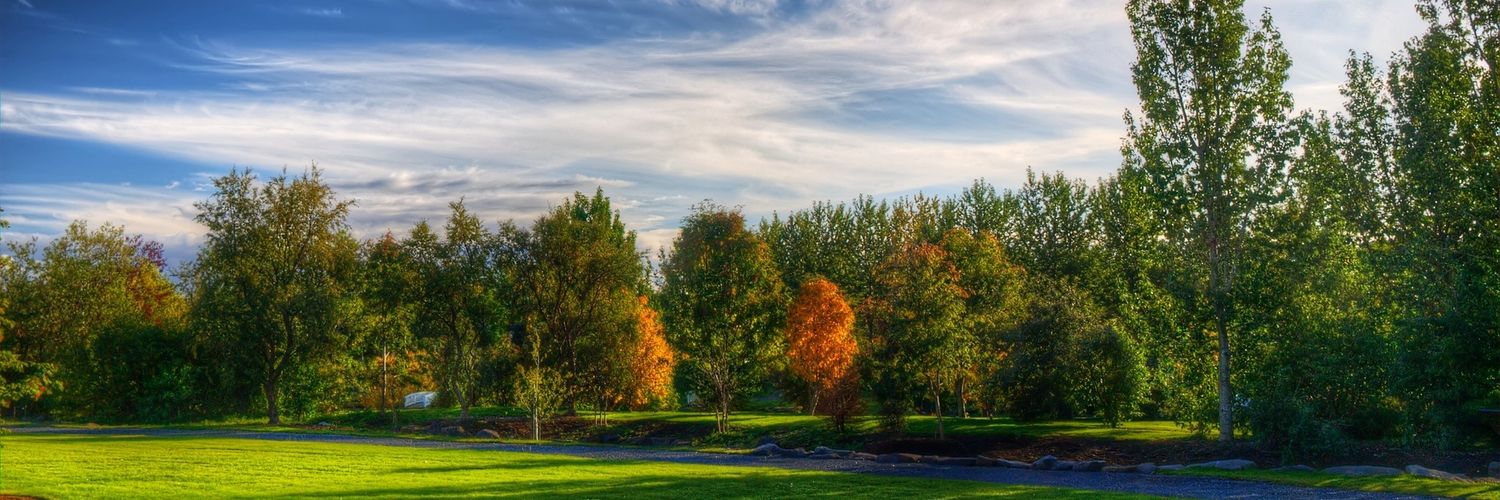 Carole Delavault banner