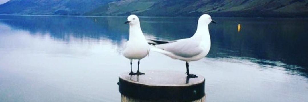 ruthmckeever's profile banner image