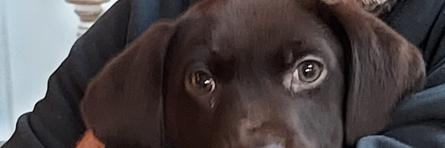 CarlGreenGolf's profile banner image