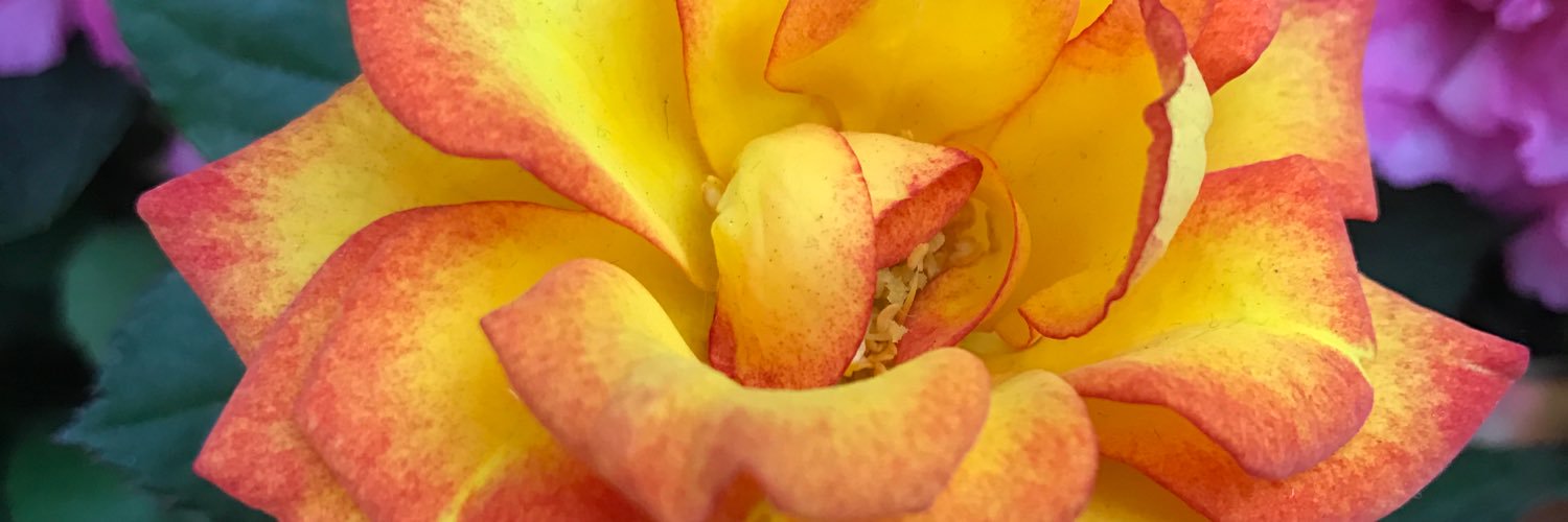idonna88's profile banner image
