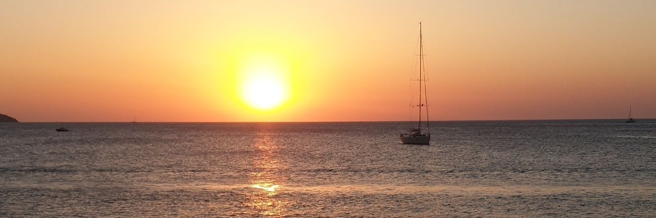 MAPalin93's profile banner image