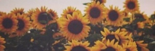 SavannahBonny's profile banner image