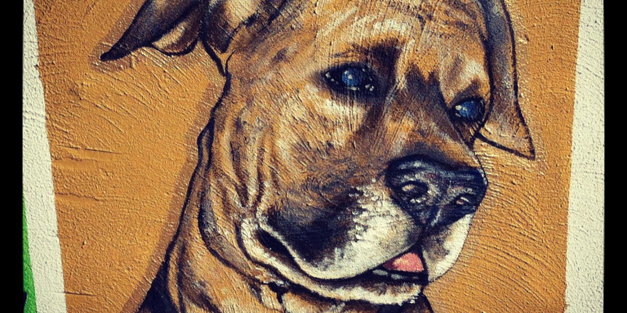 TenBellsMeri's profile banner image
