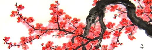 saraub's profile banner image
