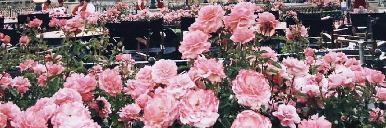 Amaalmohad's profile banner image