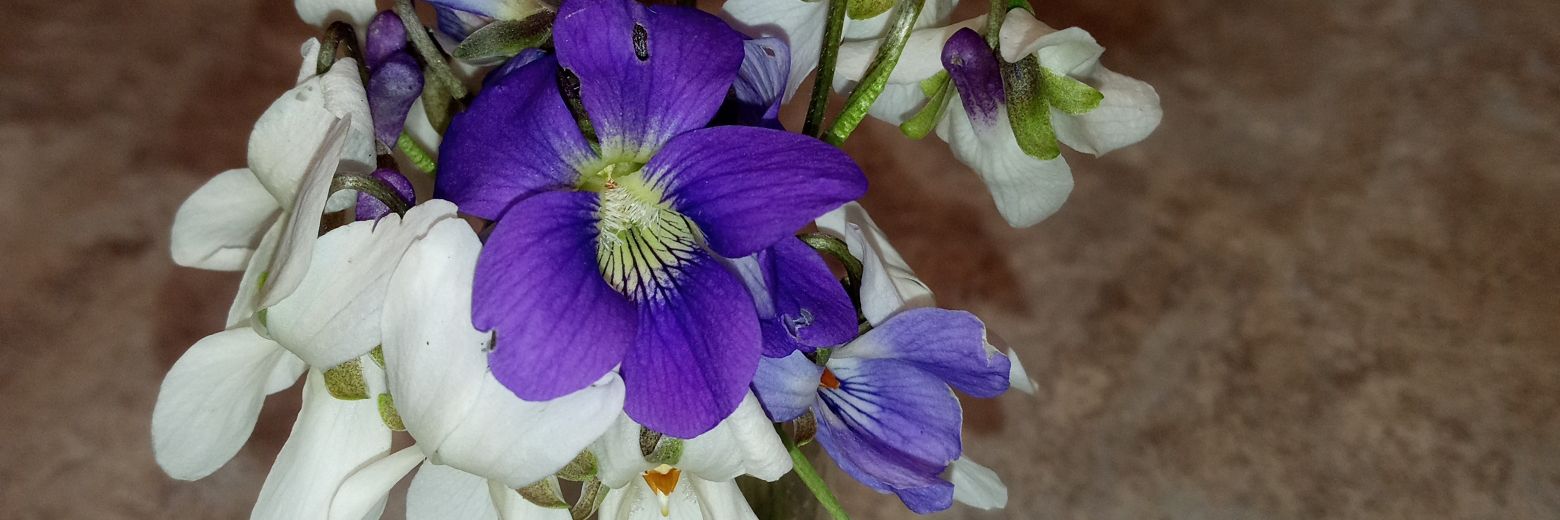 Original Me 🇺🇸🦅🌊 banner