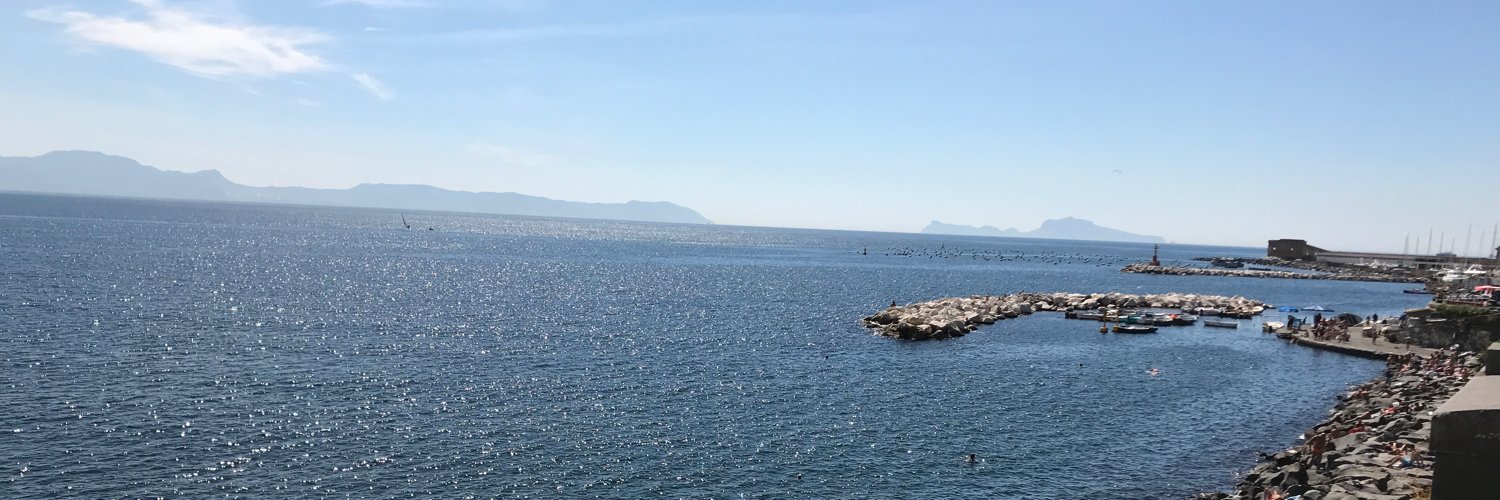 Gianpiero Spinelli banner