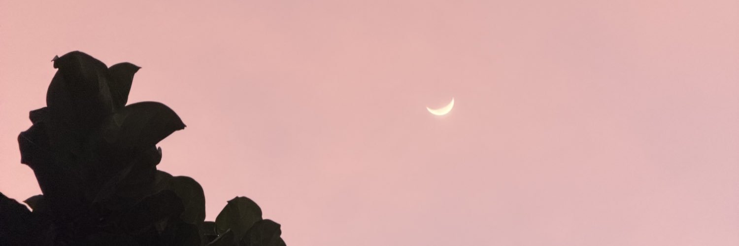 mietche08's profile banner image