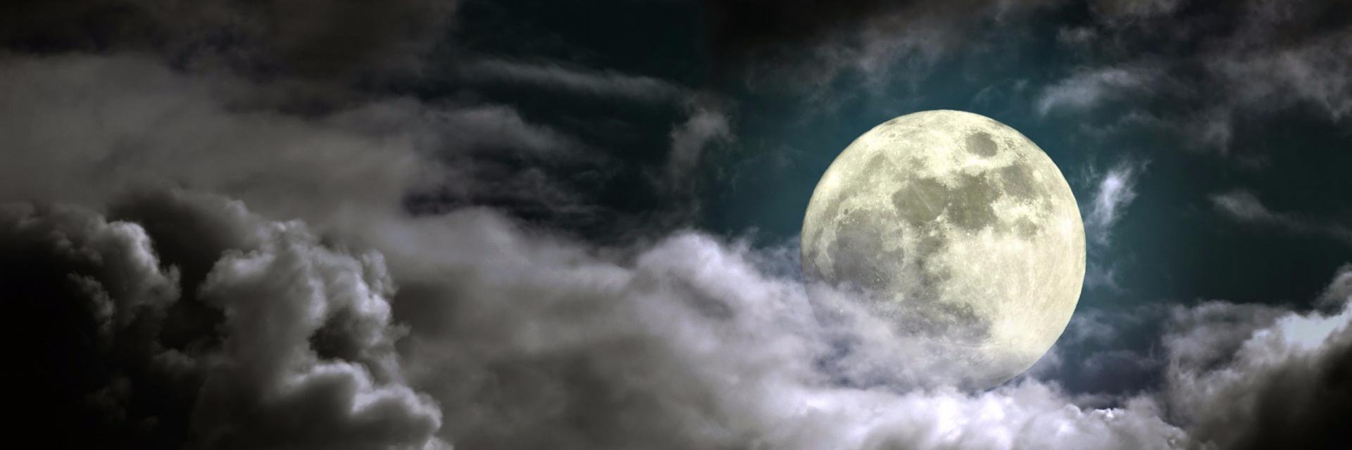 ___despicable's profile banner image