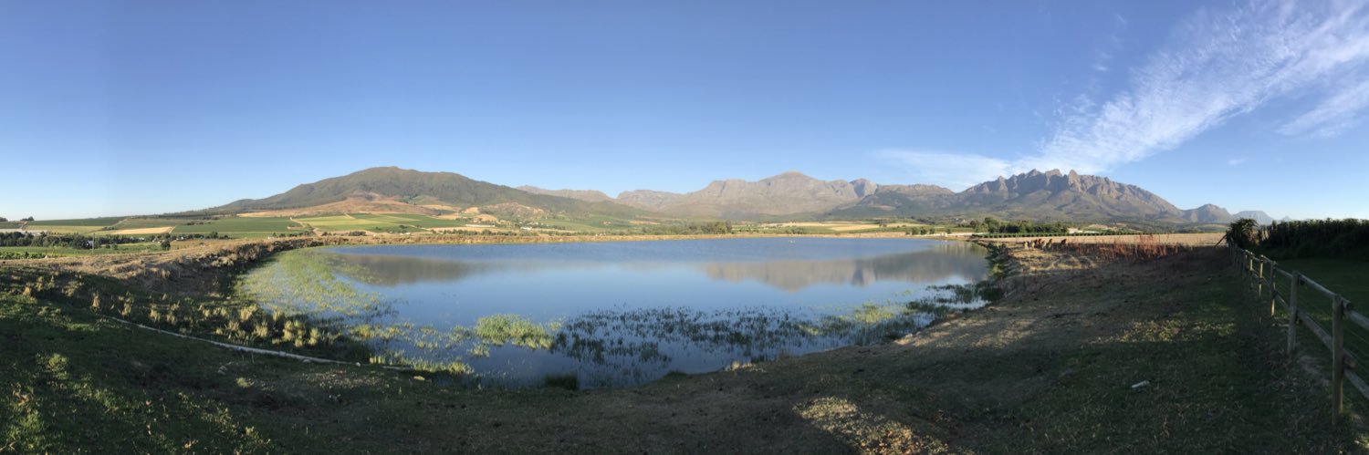 Albert van der Merwe banner