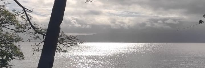 changoamd's profile banner image