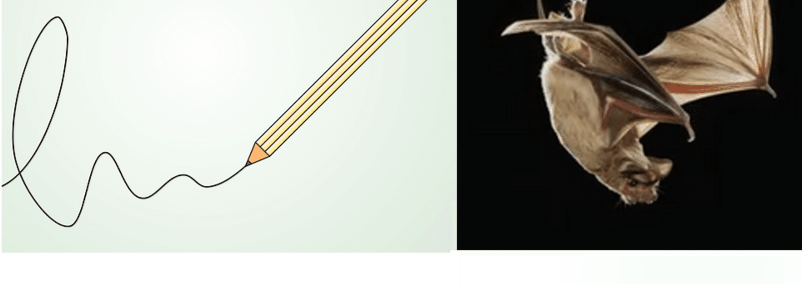 RogerLeye357's profile banner image