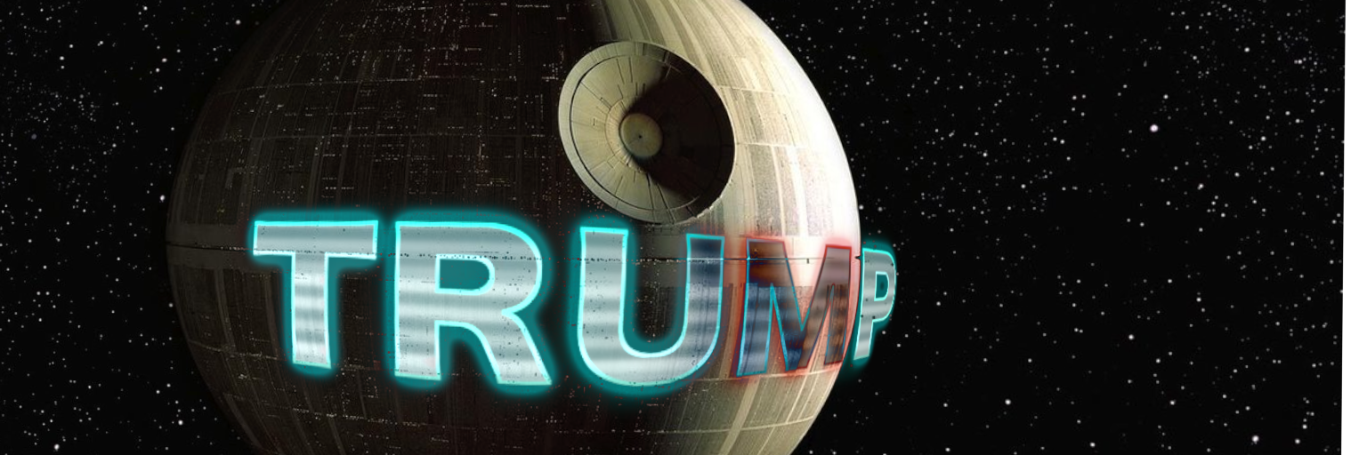 heilDonaldTrump's profile banner image