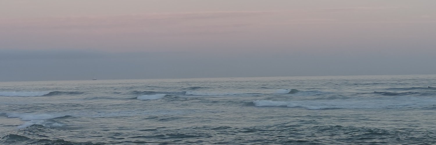 selenacadi's profile banner image