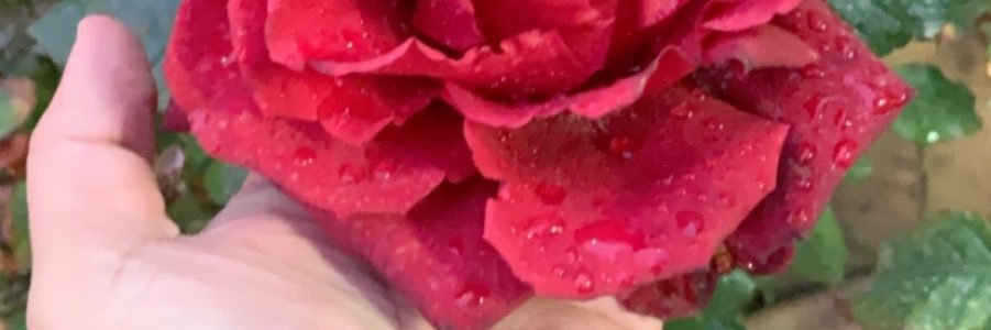 ALJOF333's profile banner image