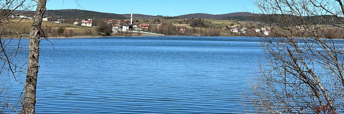 emjncann's profile banner image