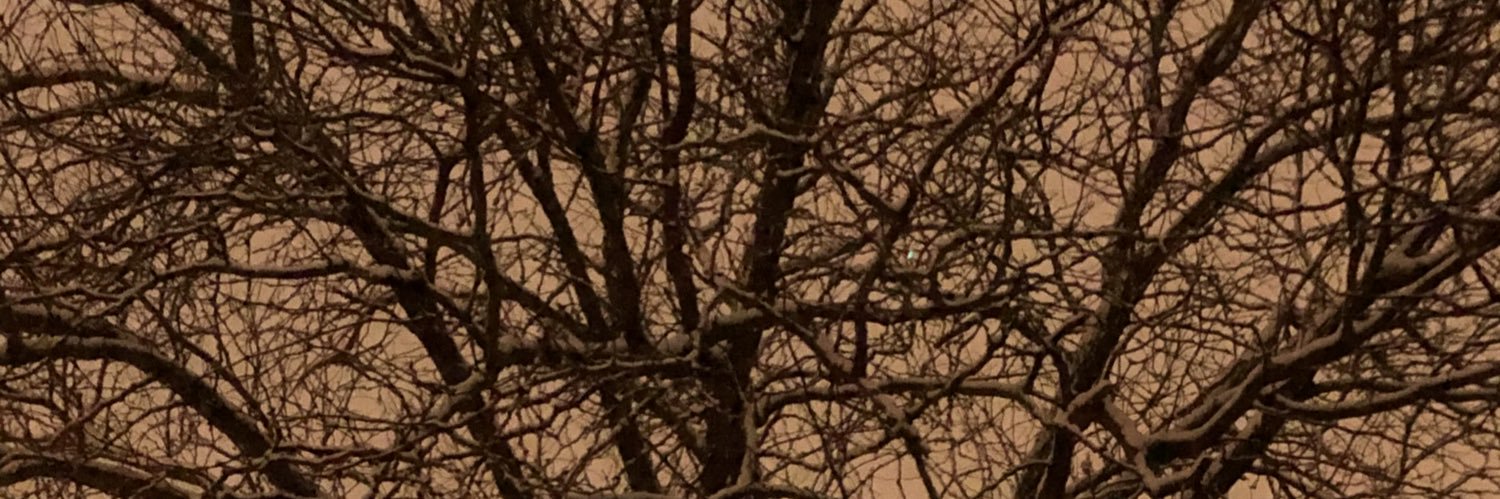 Smolbeanboy's profile banner image