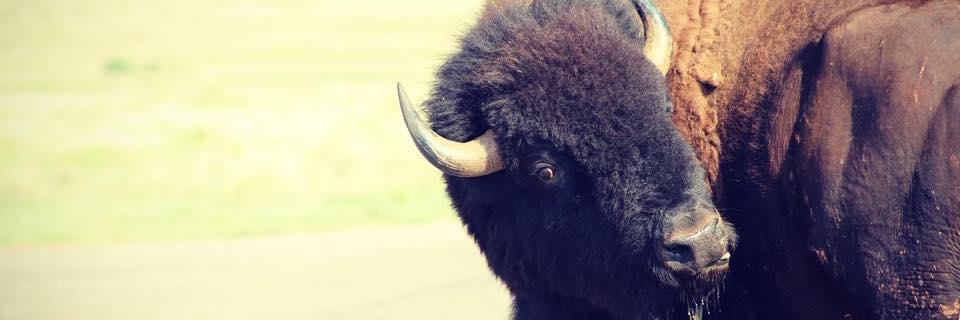 Jenni Tifft-Ochoa, M.A. (she/her) banner